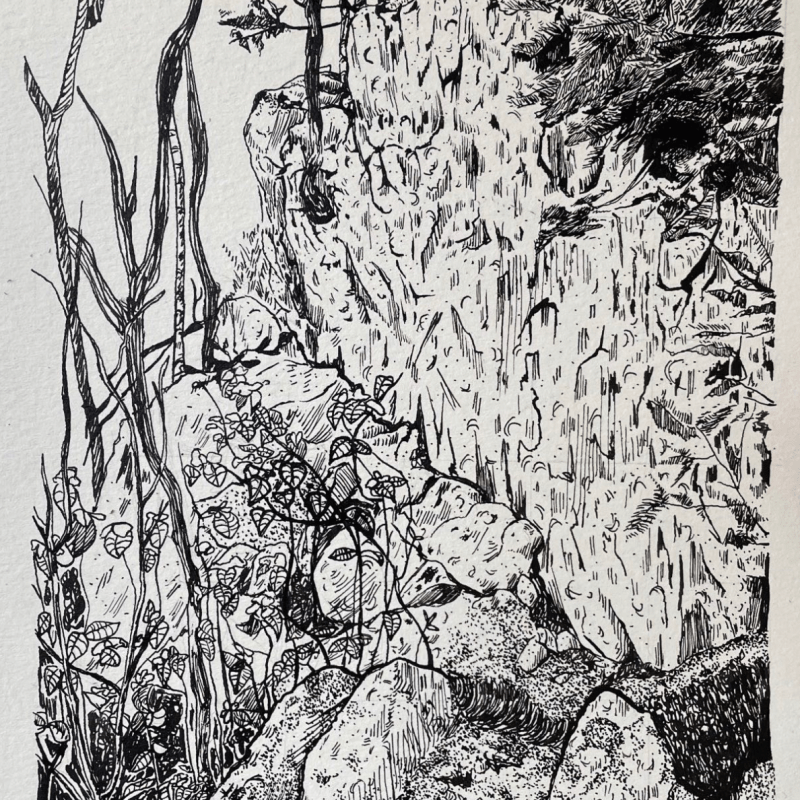 SHS Student wins Gold Key from the Scholastic Art & Writing Awards