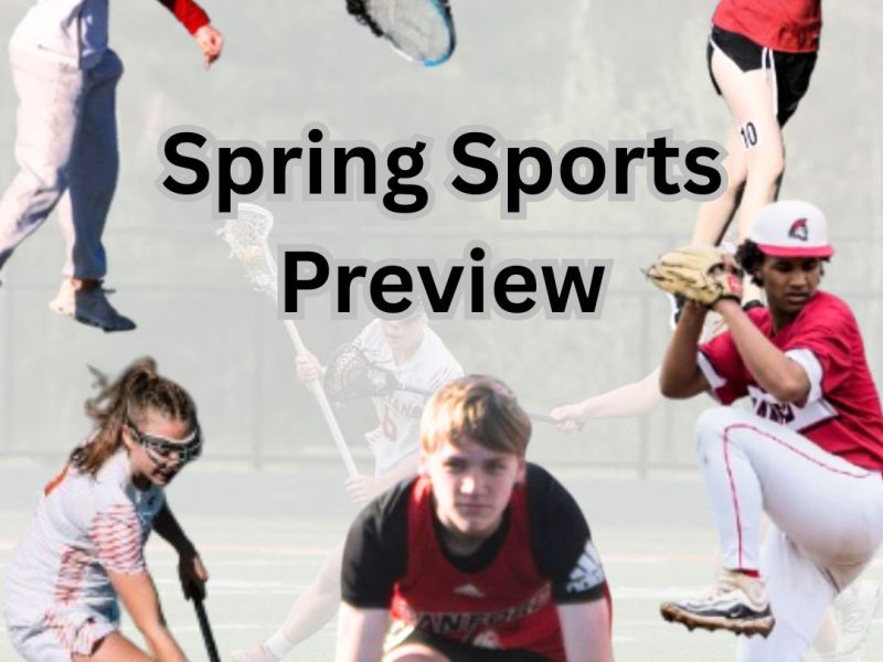 Varsity Spring Sports Preview