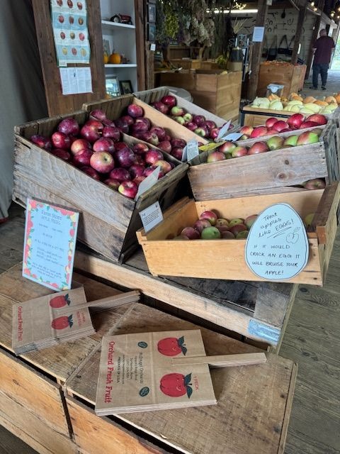 McDougal’s apple orchard open for busy Fall season
